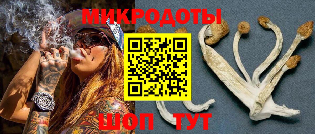 Киселёвск  Галлюциногенные грибы ЛСД  Вход с VPN 